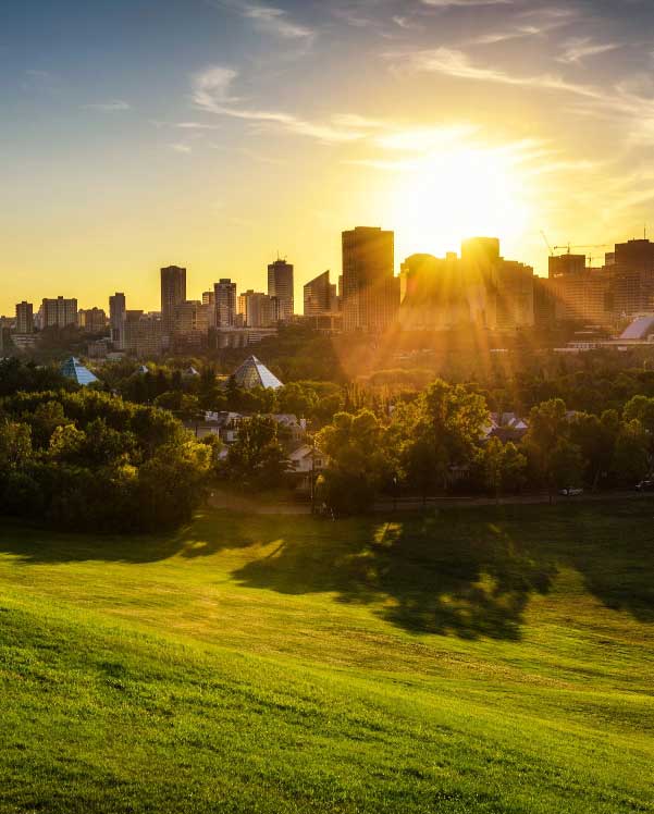 GD Liquidators Edmonton View